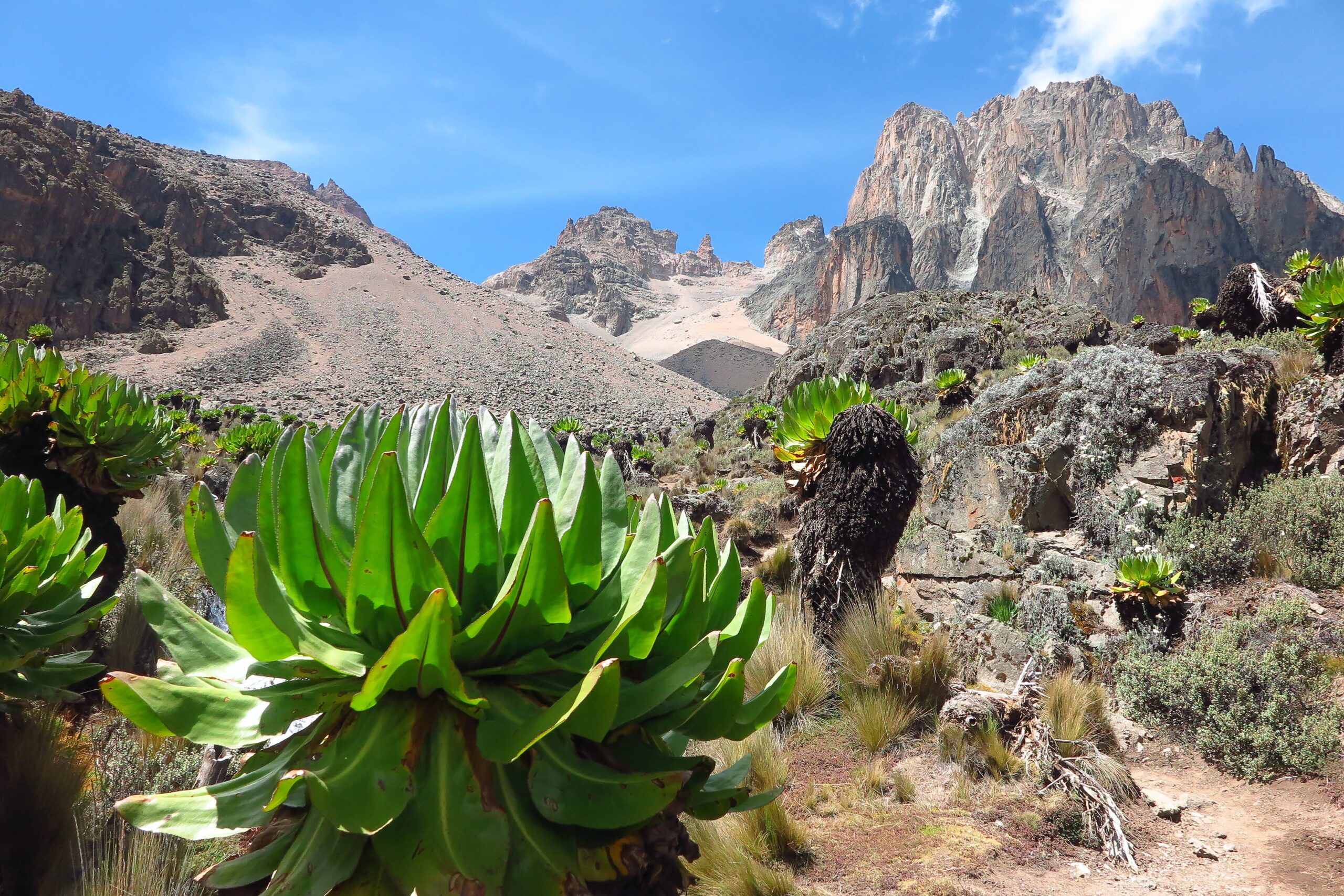 Mount-Kenya-06