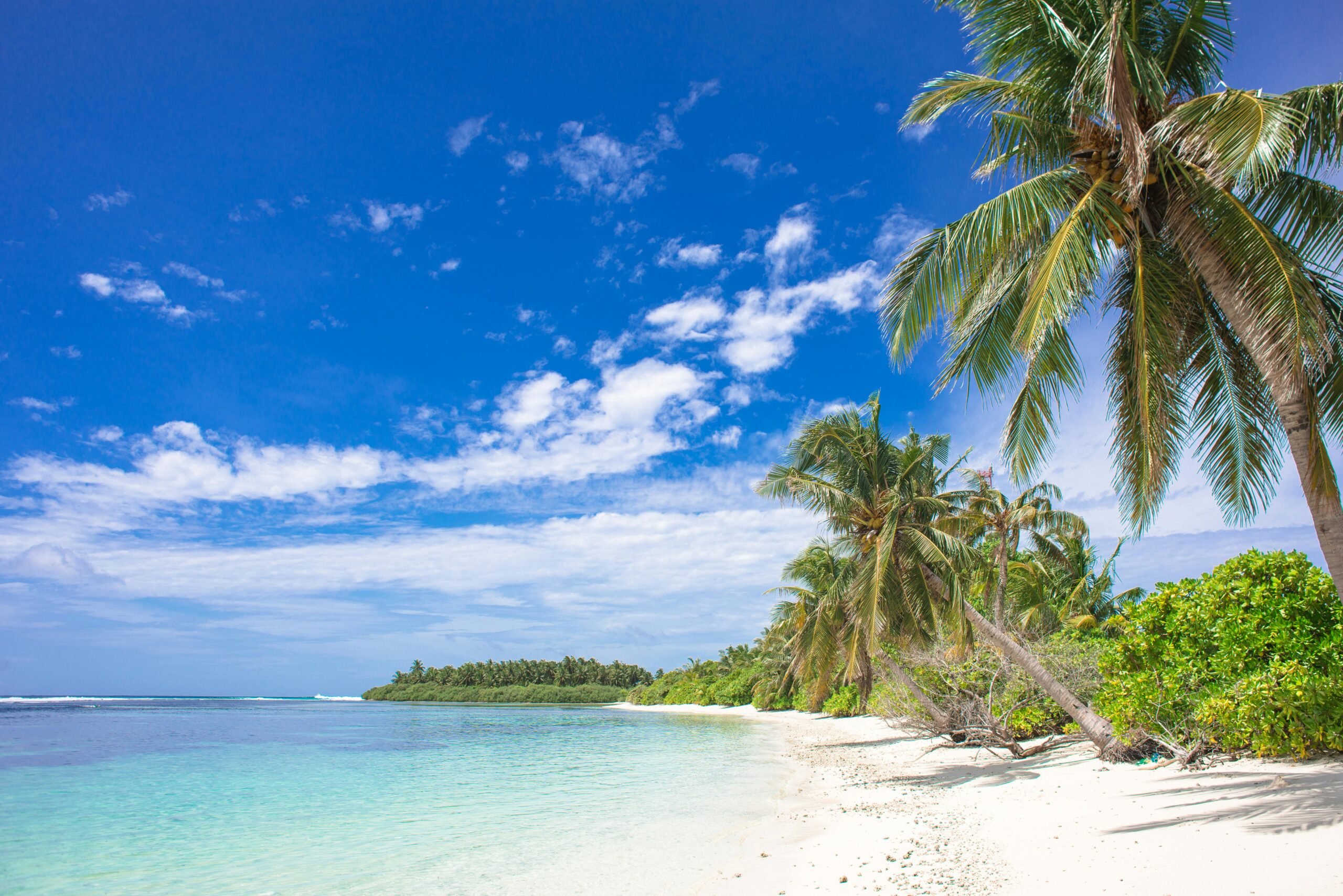 beach-under-white-and-blue-clouds